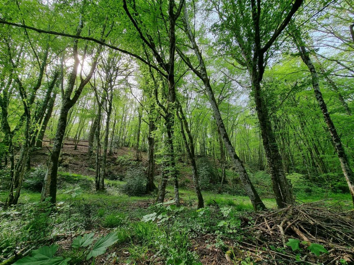 Le Domaine Du Cerf - Gites, Nature Et Spa Saint-Ouen-les-Vignes Eksteriør bilde